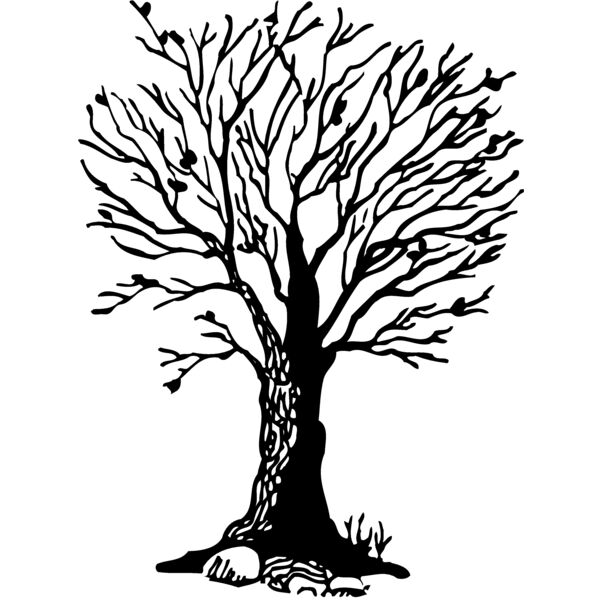 TREE0020 Thumbnail